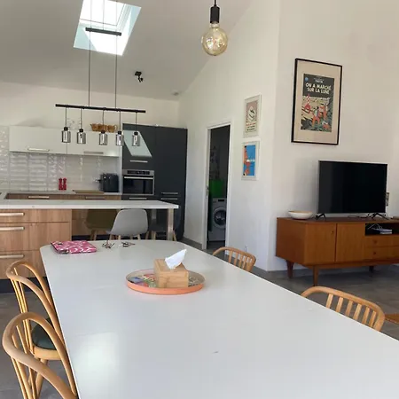 Maison Moderne Et Charmante A 450m De La Plage, 2 Chambres, Terrasse Et Barbecue - Fr-1-336-153 생-뱅상-쉬르-자르
